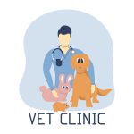 Veterinarian with a stethoscope, puppy bunny and cavy. Veterinary clinic or hospital banner concept with male doctor.